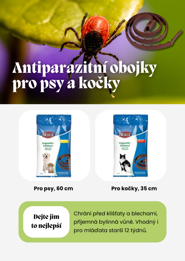Tisková ukázka 9